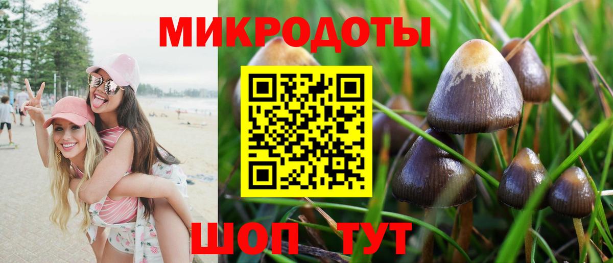 Галлюциногенные грибы прущие грибы  Вход с VPN  Чапаевск 