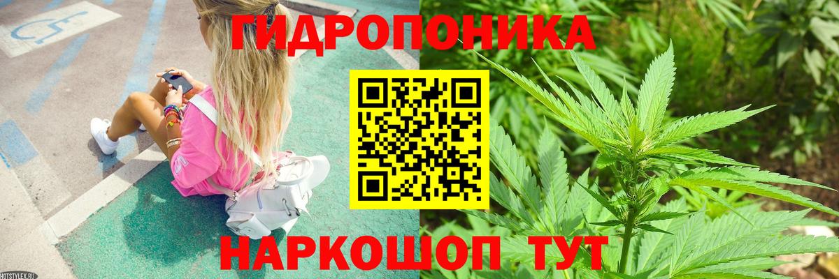 Бошки марихуана SATIVA & INDICA Чапаевск